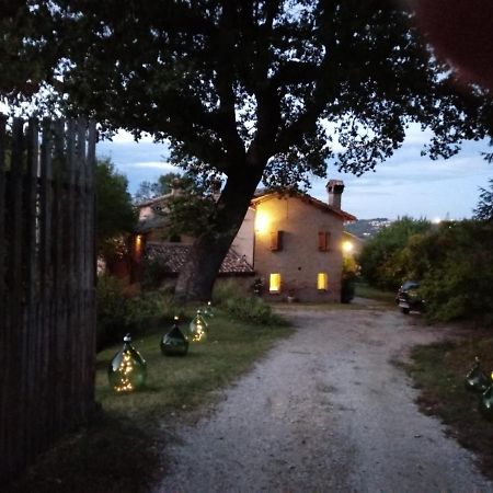 B&B I Canonici ウルビーノ エクステリア 写真